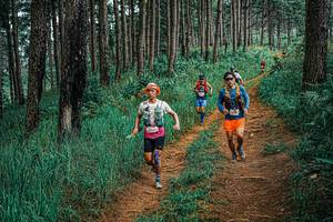 BIB: 
                            <button type="button" onclick="openModal(25707503)" class="btn btn-primary btn-sm float-right btn-popup" data-toggle="modal" data-target=".modal-high-quality">
                        <i class="fas fa-shopping-cart"></i> Add to Cart
                    </button>
                                            <button type="button" onclick="isThisMe(25707503, true)" class="btn btn-success btn-sm float-right btn-popup btn-isme hidden" data-toggle="tooltip" data-placement="bottom" title="นี่คือรูปของคุณใช่ไหม คลิกที่นี่เพื่อเอาเข้าอัลบั้ม">
                        <i class="fas fa-plus"></i> Add to album
                    </button>
                    <button type="button" onclick="isThisMe(25707503, false)" class="btn btn-warning btn-sm float-right btn-popup btn-isnotme hidden">
                        <i class="fas fa-ban"></i> Remove from album
                    </button>